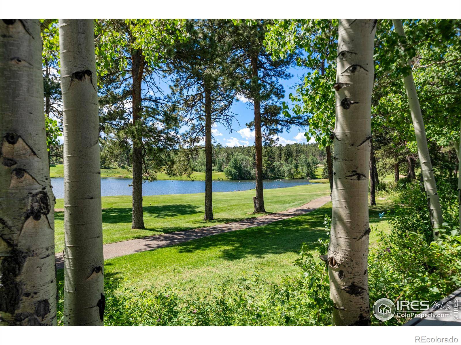 Red Feather Lakes, CO 80545,210 Fox Acres DR