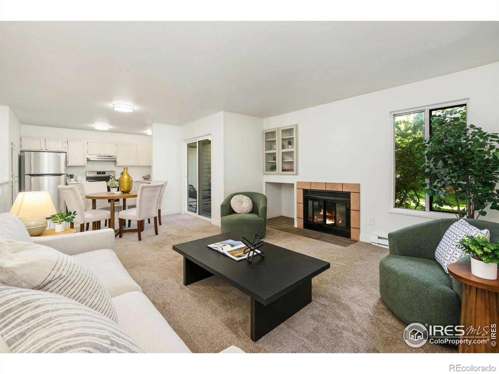 Fort Collins, CO 80525,3465 Lochwood DR #N-61
