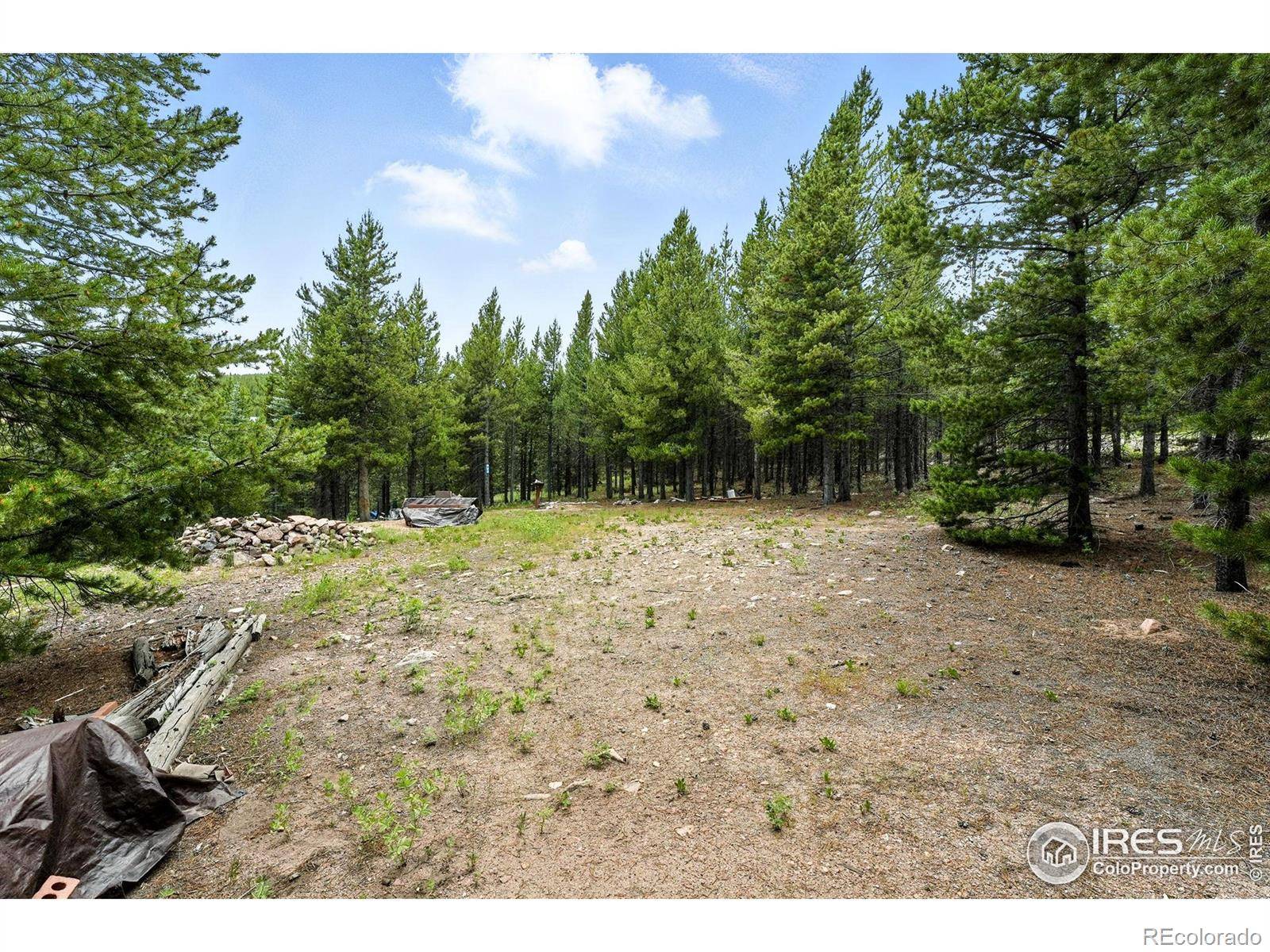 Red Feather Lakes, CO 80545,754 Mescalero DR