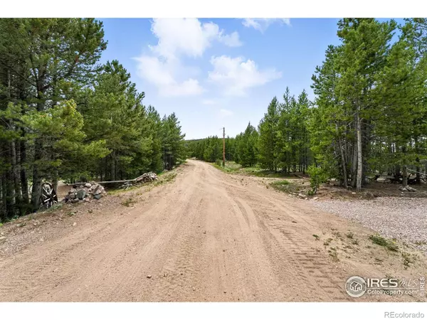 Red Feather Lakes, CO 80545,754 Mescalero DR