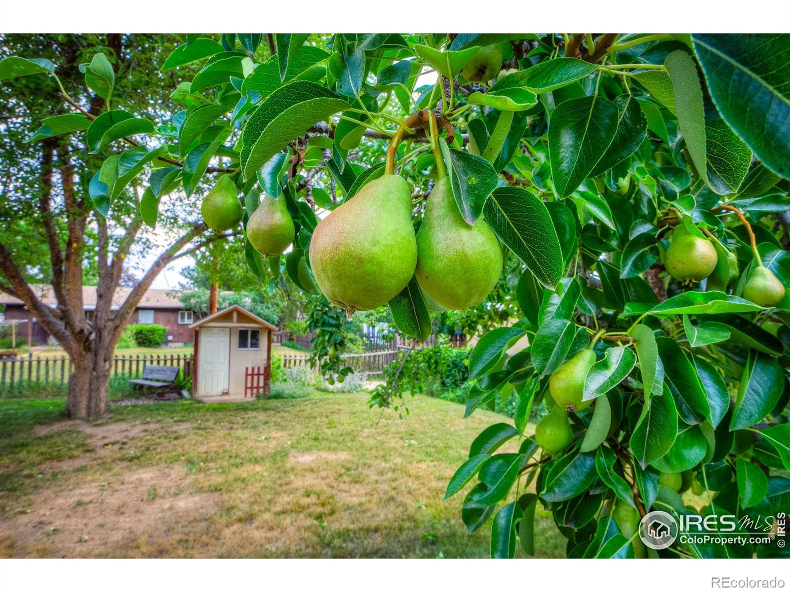Loveland, CO 80538,1801 W 22nd ST