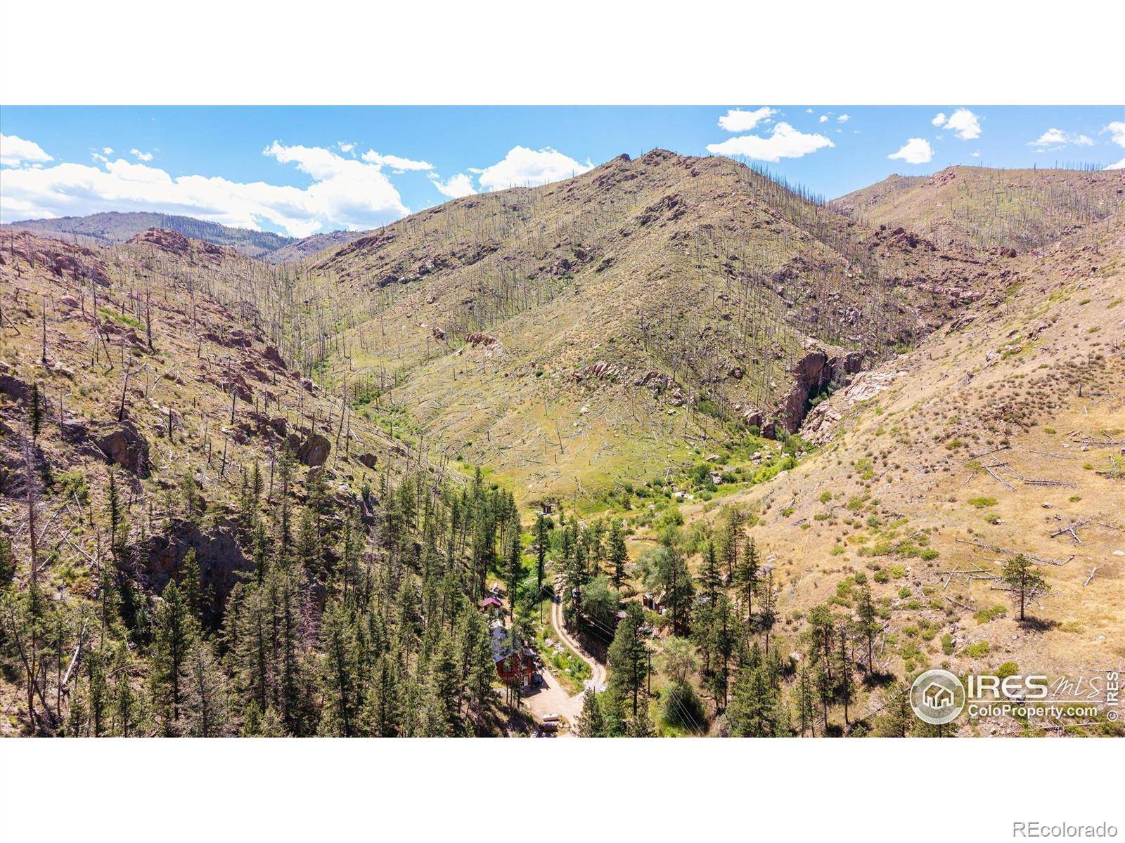 Bellvue, CO 80512,200 Falls Creek DR