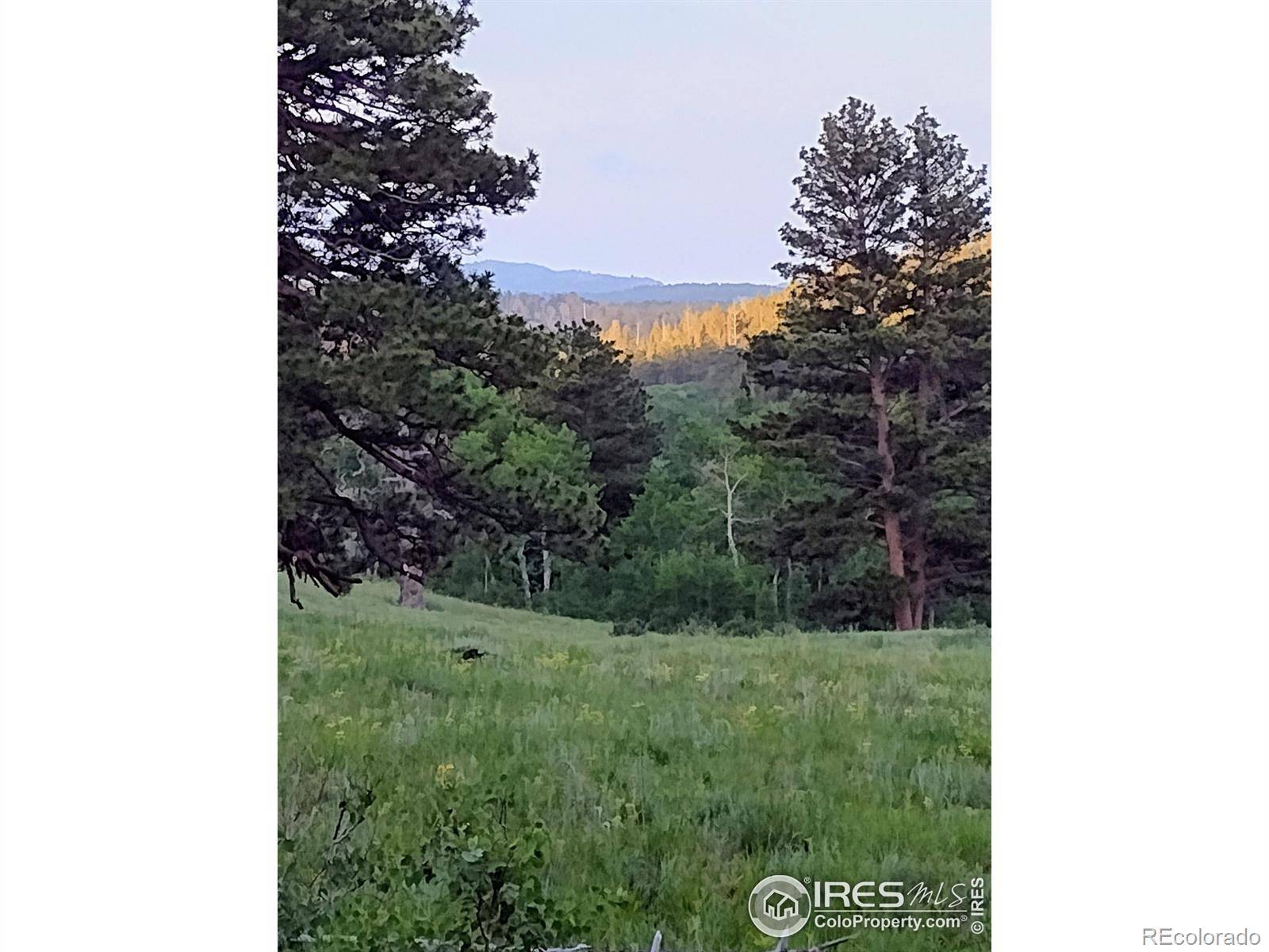 Red Feather Lakes, CO 80545,1001 County Road 86