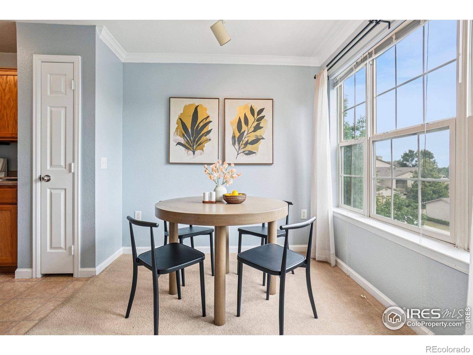 Fort Collins, CO 80525,5620 Fossil Creek Pkwy #6303