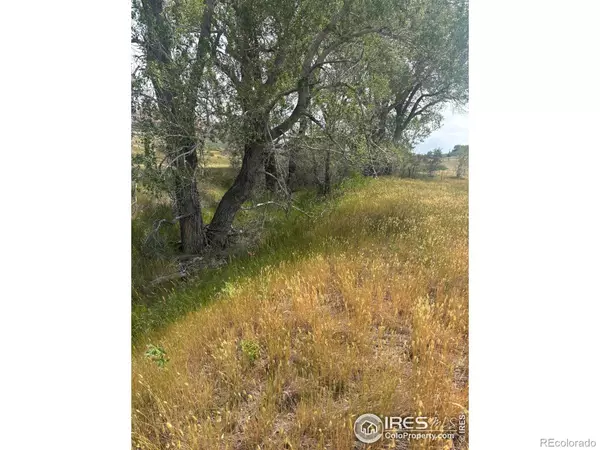 Laporte, CO 80535,124 Springs Ranch RD