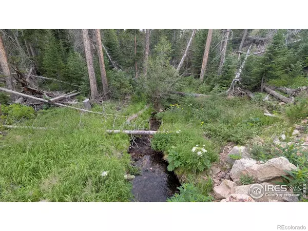 Red Feather Lakes, CO 80545,11 Pearl Creek RD