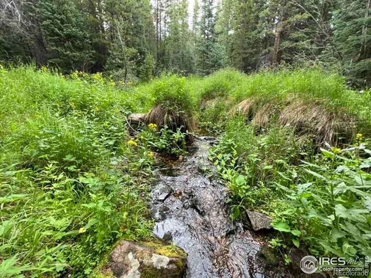 Red Feather Lakes, CO 80545,11 Pearl Creek RD