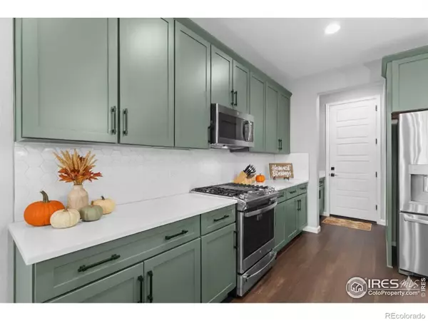 Loveland, CO 80538,6333 Icegrass AVE