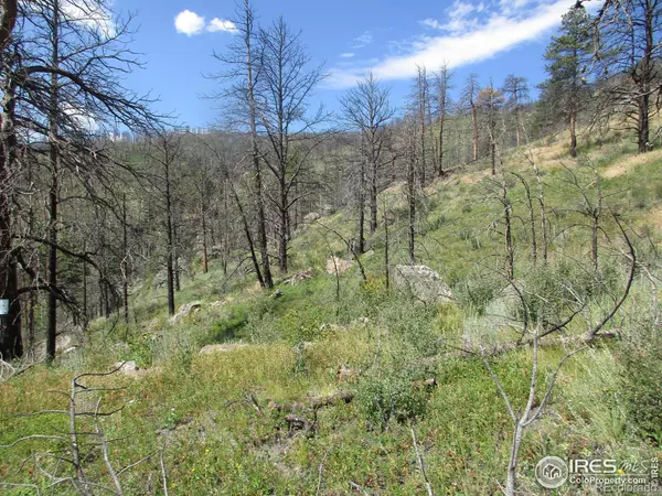 Bellvue, CO 80512,0 County Rd 44H