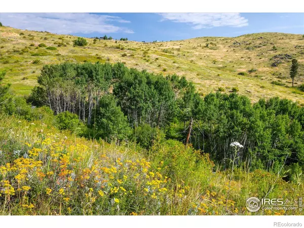 Boulder, CO 80302,730 Lost Angel RD