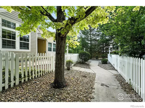 Longmont, CO 80503,709 Snowberry ST