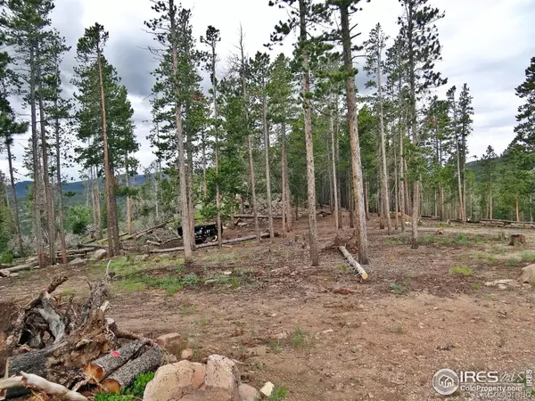 Red Feather Lakes, CO 80545,1921 Osage TRL