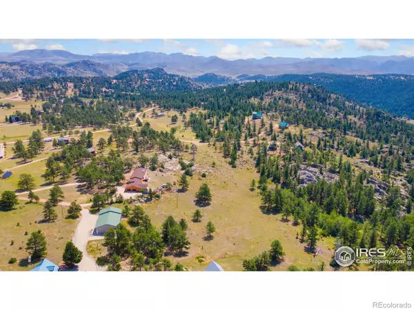 Livermore, CO 80536,166 Red Cloud Peak CT