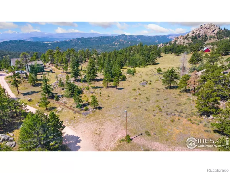 166 Red Cloud Peak CT, Livermore, CO 80536