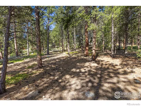 Nederland, CO 80466,705 McMillen WAY
