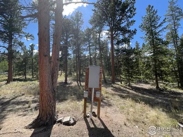 Red Feather Lakes, CO 80545,34 Shawnee RD