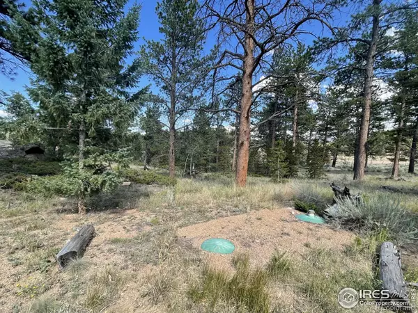 Red Feather Lakes, CO 80545,34 Shawnee RD