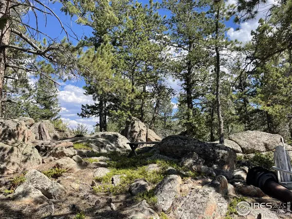 Red Feather Lakes, CO 80545,34 Shawnee RD