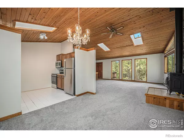 Bailey, CO 80421,1050 Yellow Pine DR