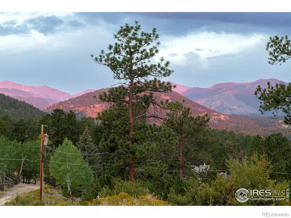 Estes Park, CO 80517,1352 Alpenglow LN