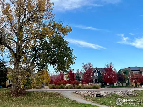 Lafayette, CO 80026,519 Cheyenne DR