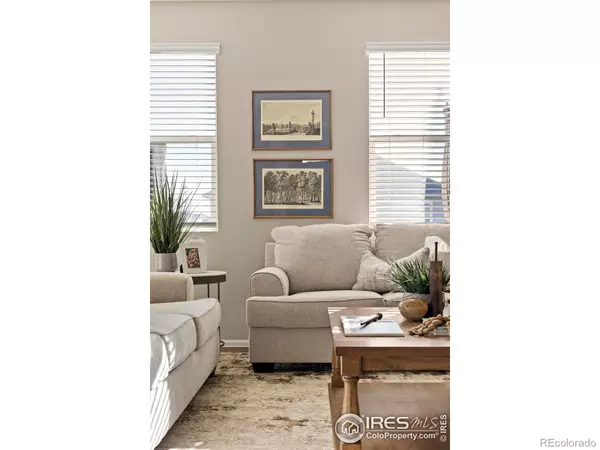 Windsor, CO 80550,939 Keneally CT