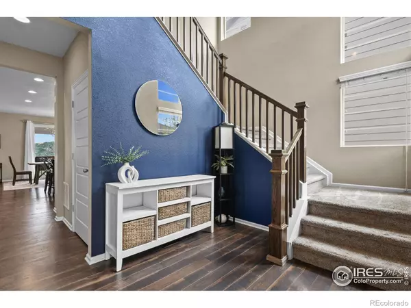 Castle Rock, CO 80104,2549 Loon CIR