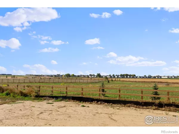 Johnstown, CO 80534,668 Piedmontese ST