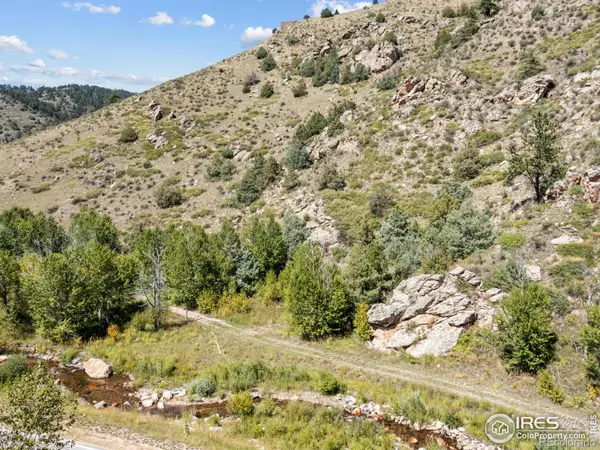 Glen Haven, CO 80532,9981 County Road 43