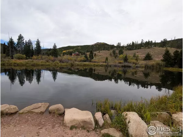 Red Feather Lakes, CO 80545,37 N Oneida CT
