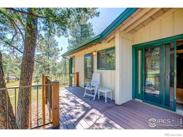 Lyons, CO 80540,71 Cedar DR