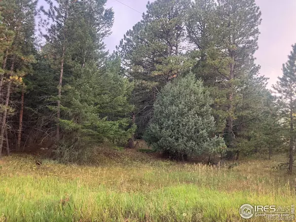 Boulder, CO 80302,505 Lakeshore DR