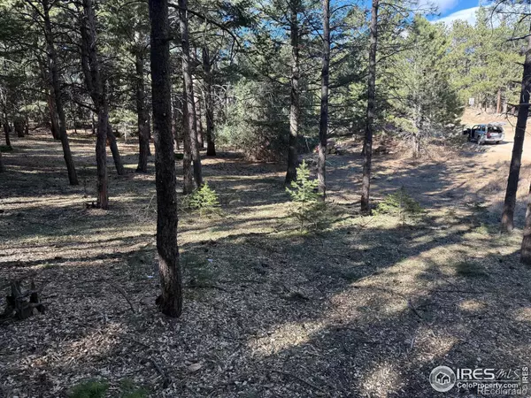 Boulder, CO 80302,505 Lakeshore DR