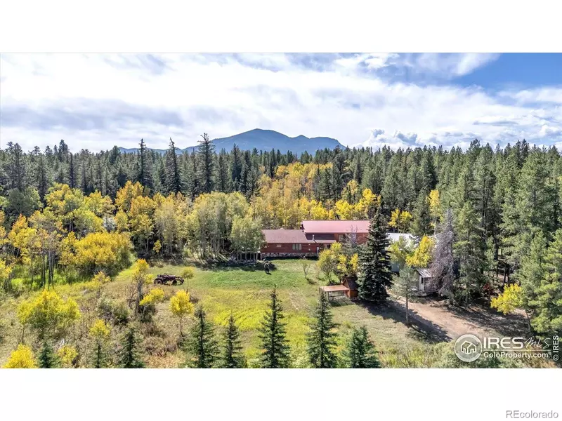 188 Ponderosa WAY, Nederland, CO 80466