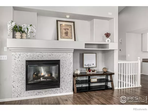 Firestone, CO 80504,10244 Falcon ST