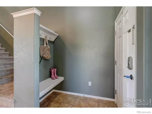 Wellington, CO 80549,7302 Andover ST