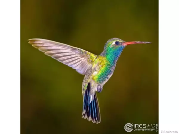 Boulder, CO 80302,1037 Wagonwheel Gap RD