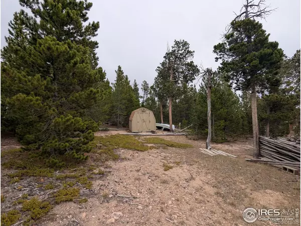 Red Feather Lakes, CO 80545,44 Catamount CT