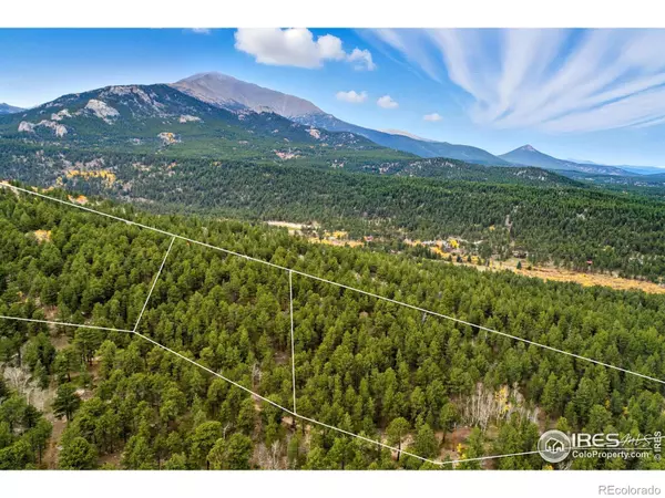 Allenspark, CO 80510,437 County Road 84