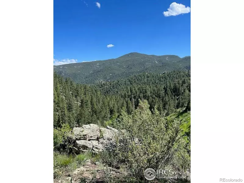 84 Copper Hill RD, Glen Haven, CO 80532