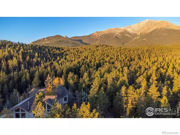 1997 Big Owl RD, Allenspark, CO 80510