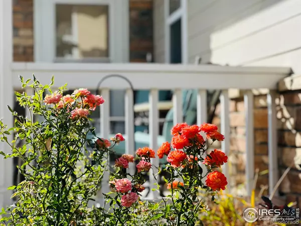 Evans, CO 80620,3770 Ponderosa CT #4