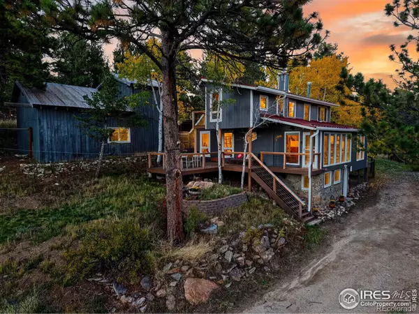 1707 Ridge RD, Nederland, CO 80466