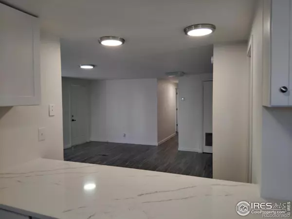 Dacono, CO 80514,1209 Mac Cormack CT