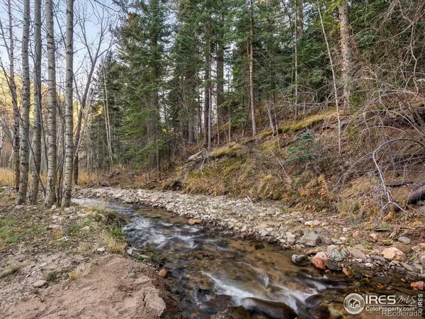 Glen Haven, CO 80532,1035 Streamside DR