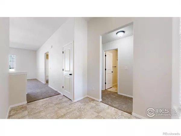 Severance, CO 80550,1104 Ibex DR