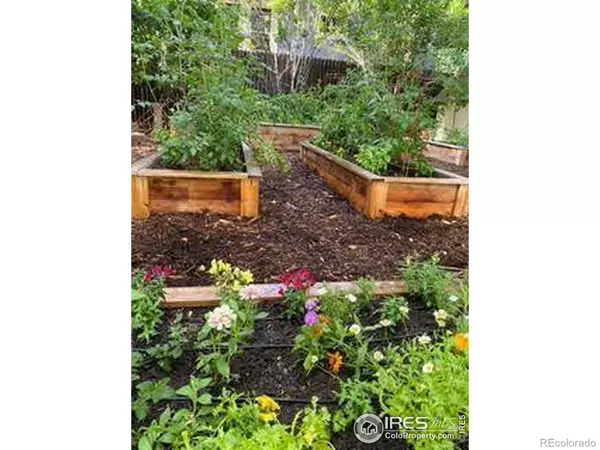 Fort Collins, CO 80521,1230 W Mountain AVE