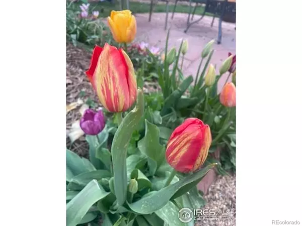 Boulder, CO 80304,1111 Utica CIR