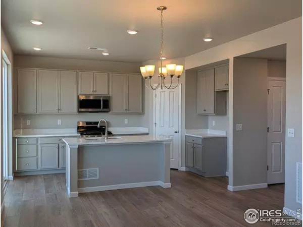 Mead, CO 80542,16953 Ballinger CIR