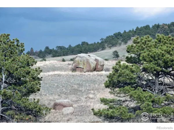 Livermore, CO 80536,280 Timber TRL